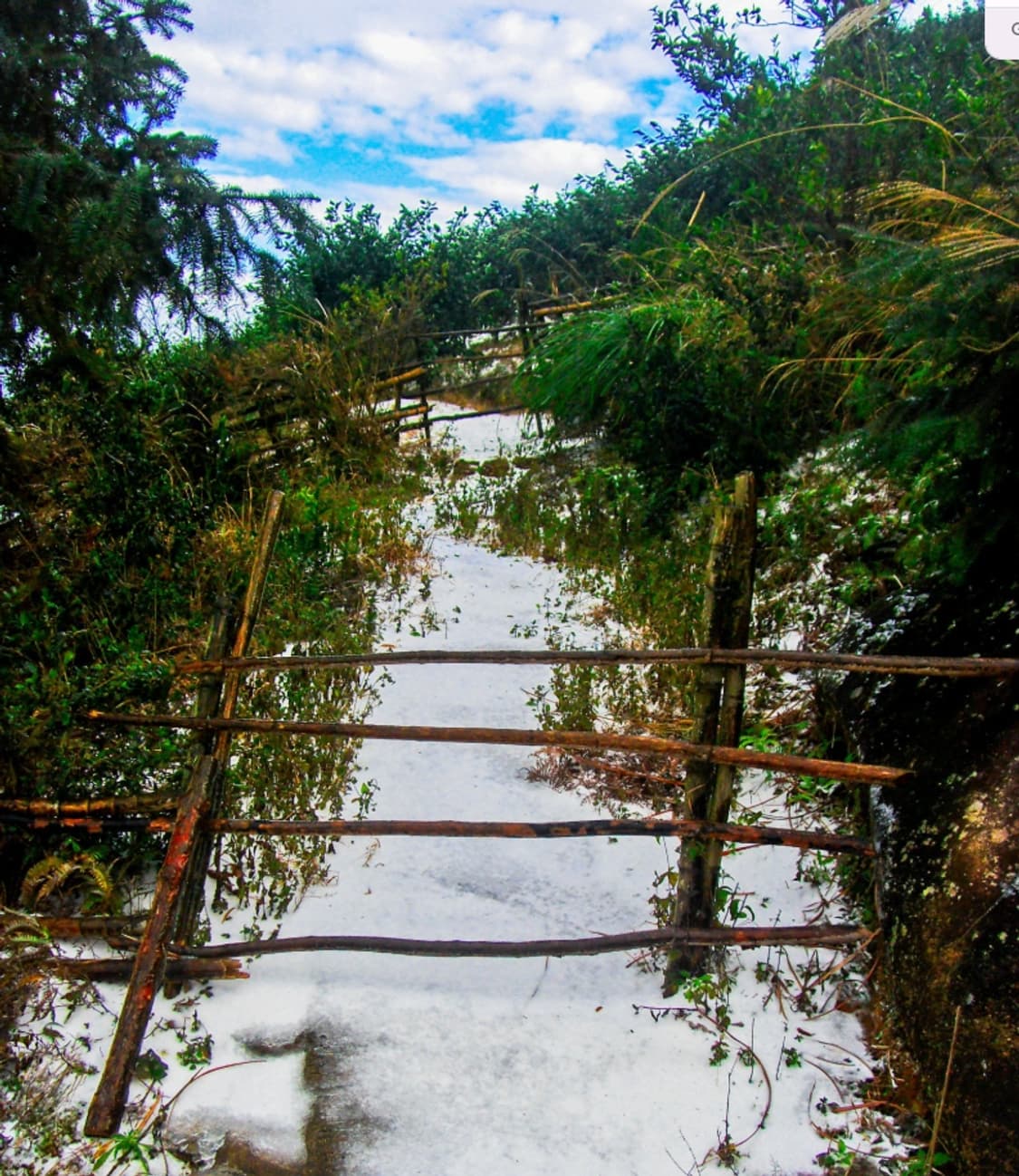 작례O 장동건 디카 삼성 블루 i8 디지털카메라 초소형 감성 카메라 상품이미지6