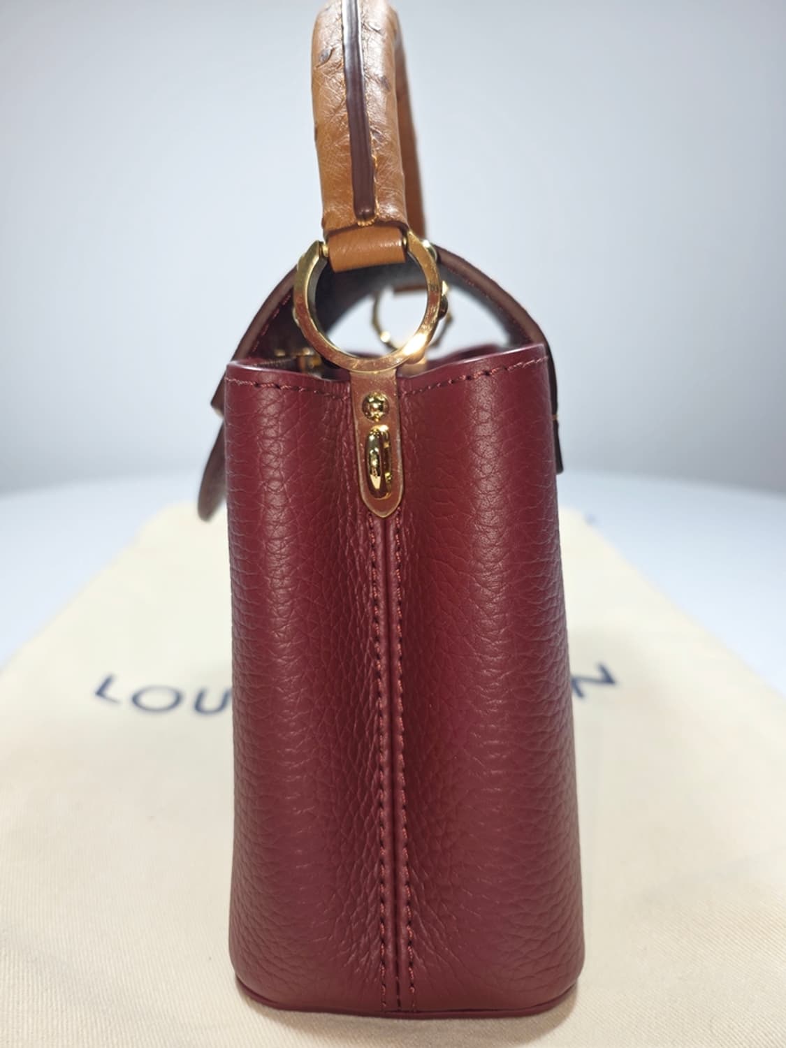 루이비통 카퓌신 미니 오스트리치 N81409 상품이미지4