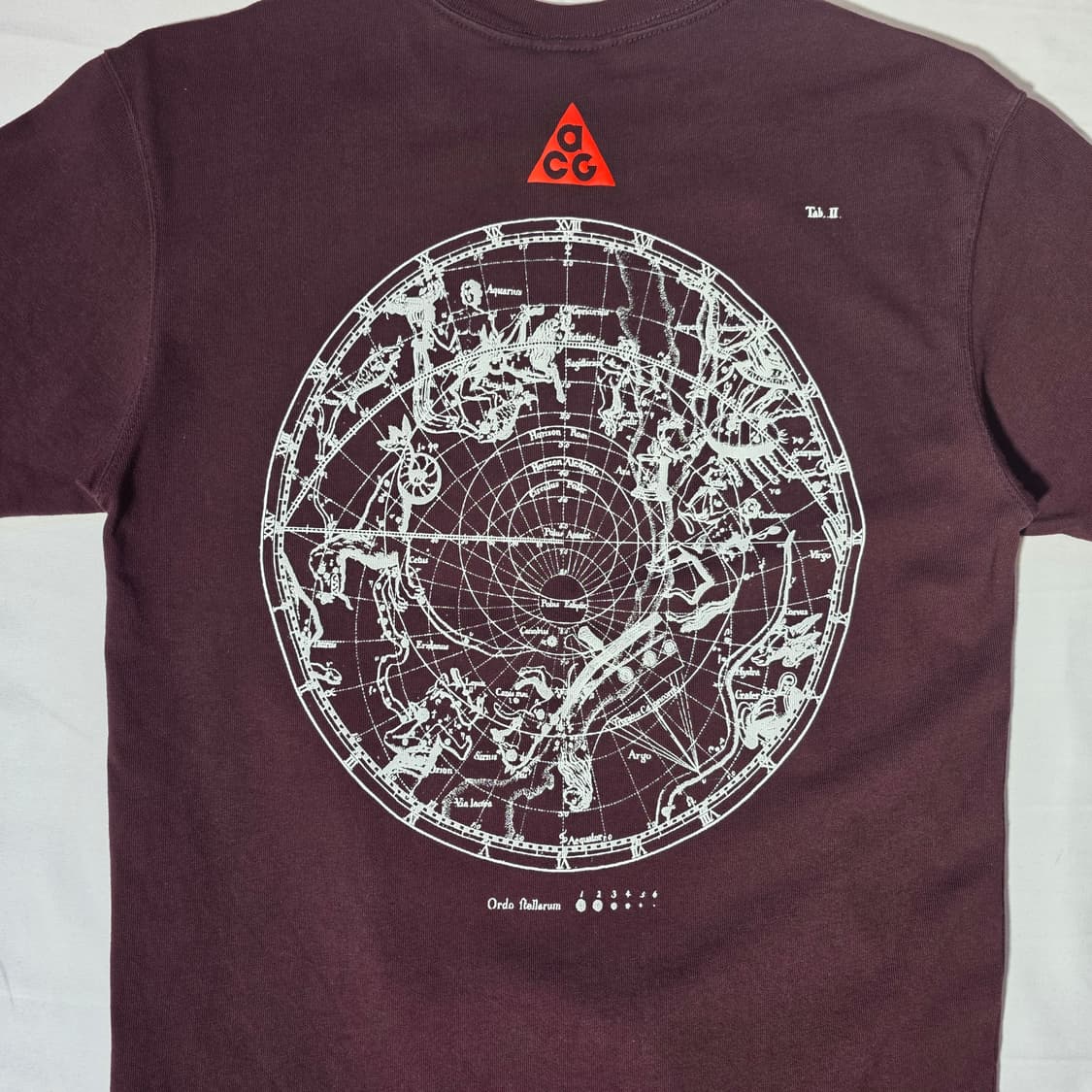 [M]나이키 ACG 스타게이즈 반팔티 상품이미지7