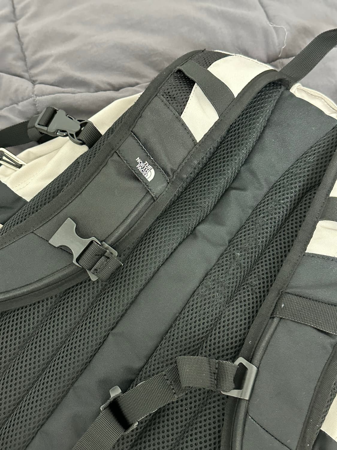 노스페이스 빅샷 백팩 베이지 상품이미지3