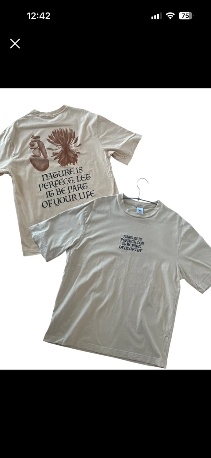 Zara 남성 티 L (이집트 제작) 상품이미지1