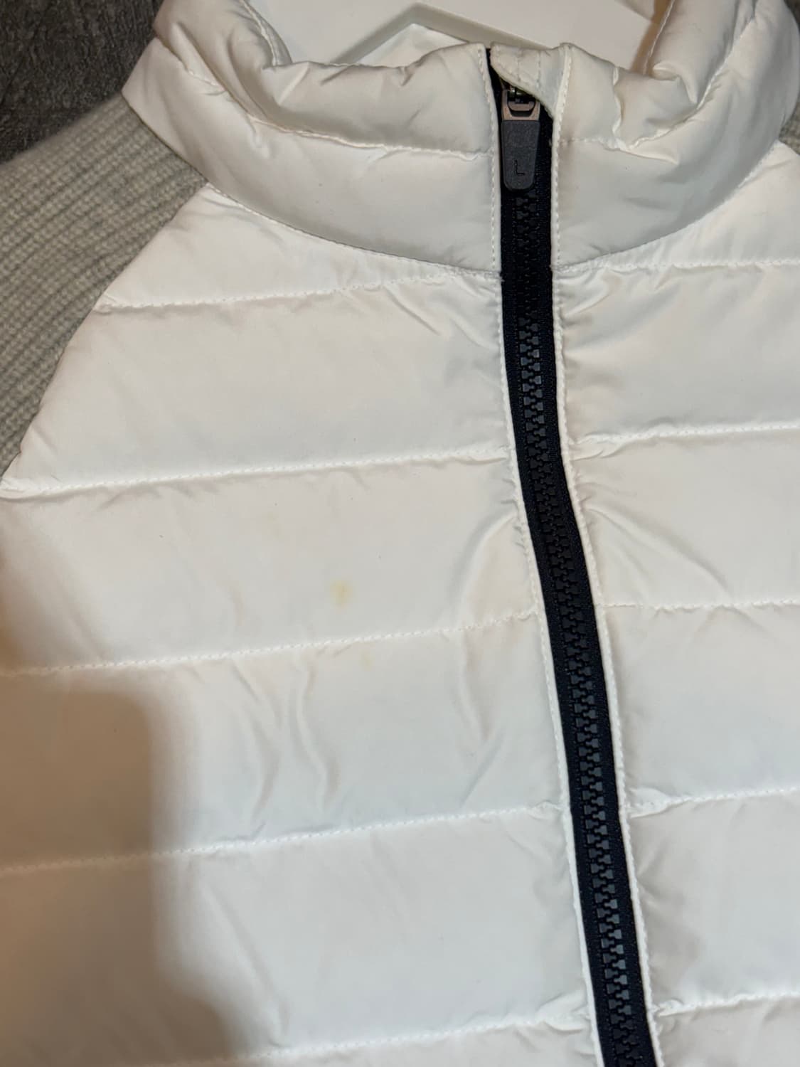 라코스테 니트패딩 여성 34사이즈 상품이미지5