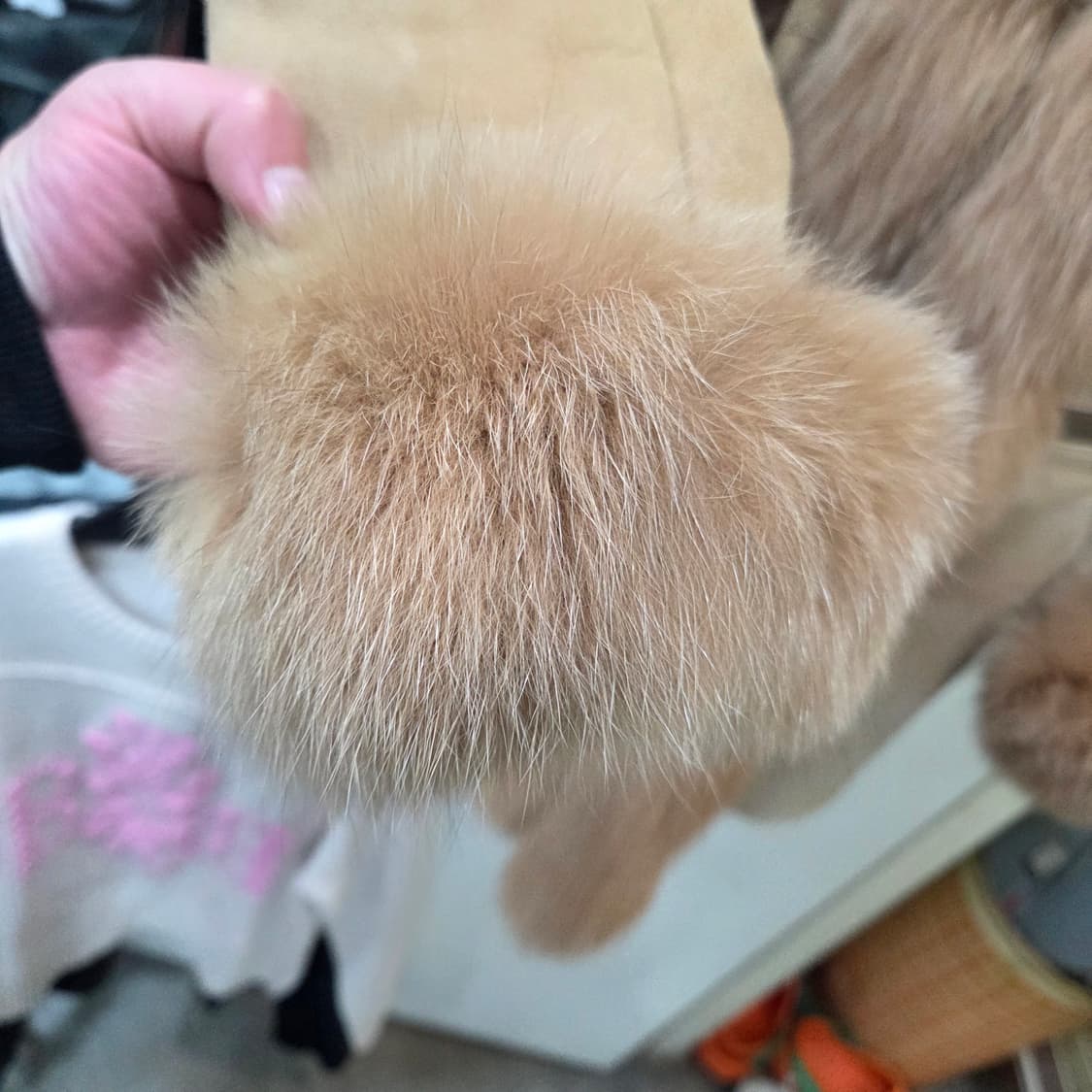 제시뉴욕 시어링 무스탕 상품이미지5