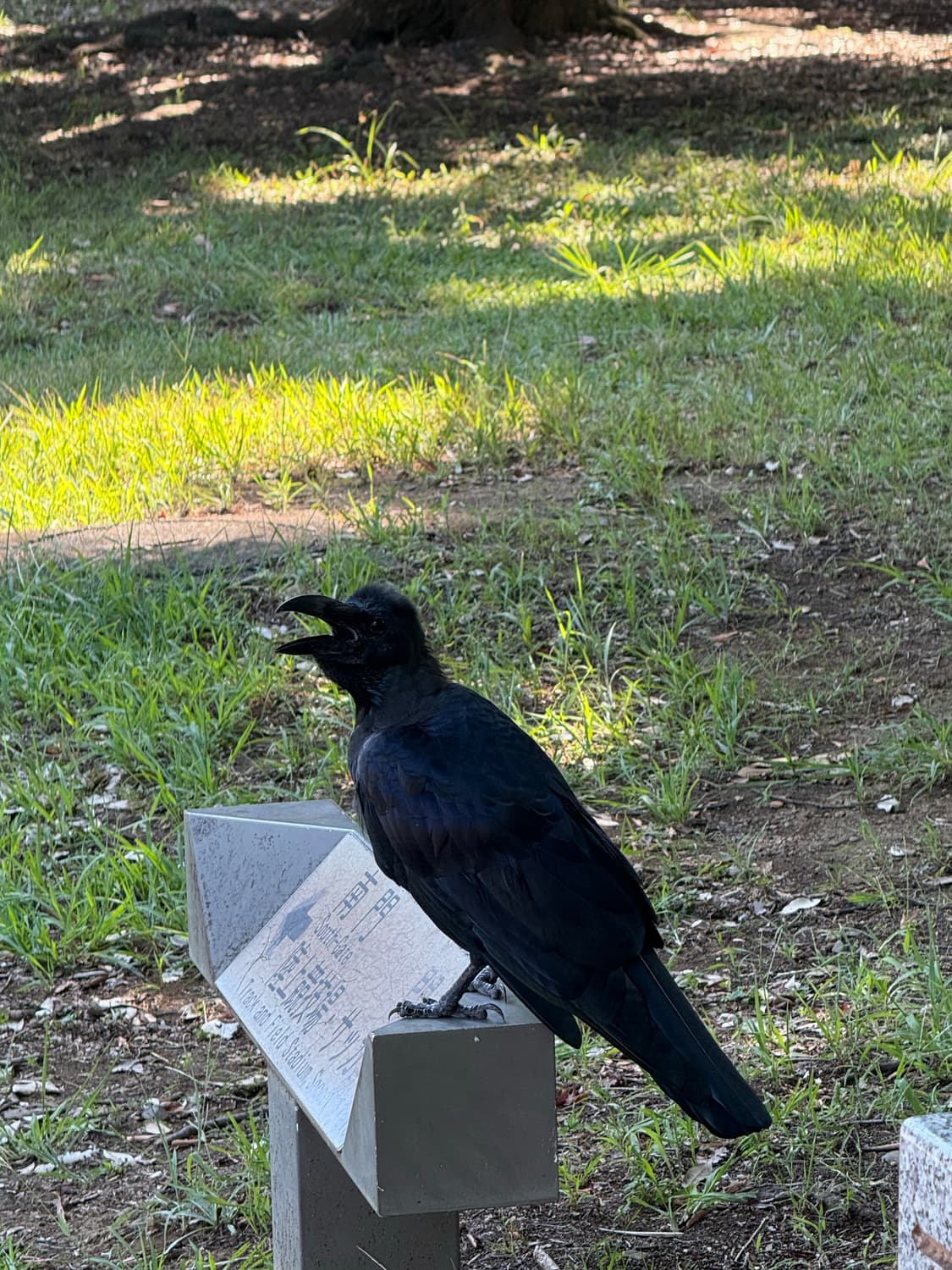 까악까악 상품이미지1