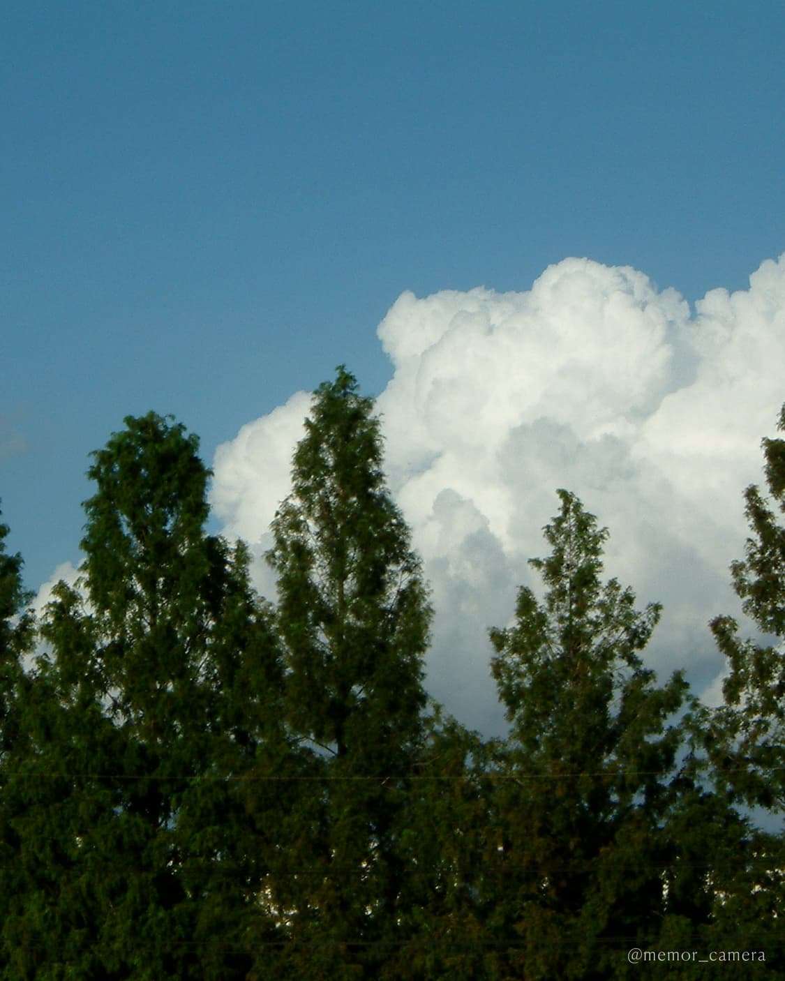 필카감성☁️ FUJIFILM Finepix F601 후지필름디카 민트급 상품이미지8