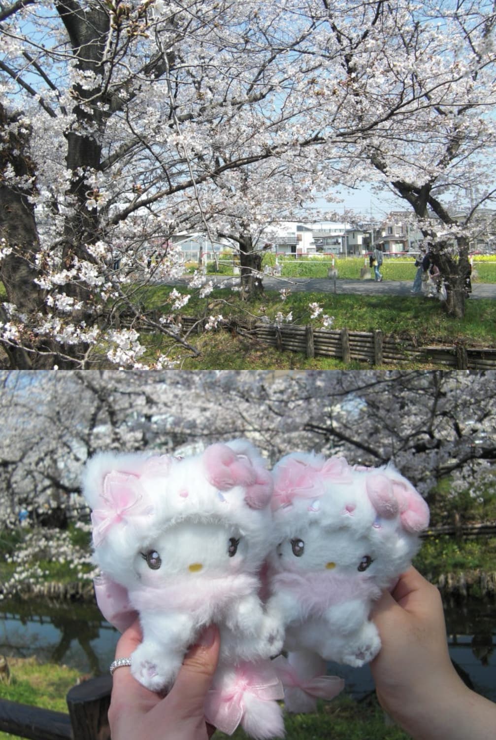 작례있음🌸💖카시오 엑슬림 Z100 casio exilim 상품이미지3