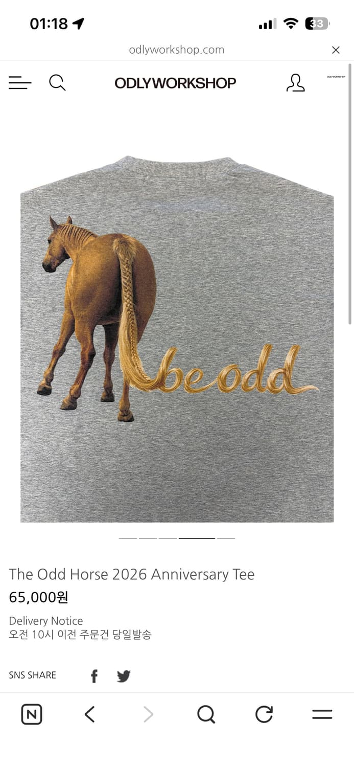 오들리워크샵 The Odd Horse Tee 반팔티 상품이미지4