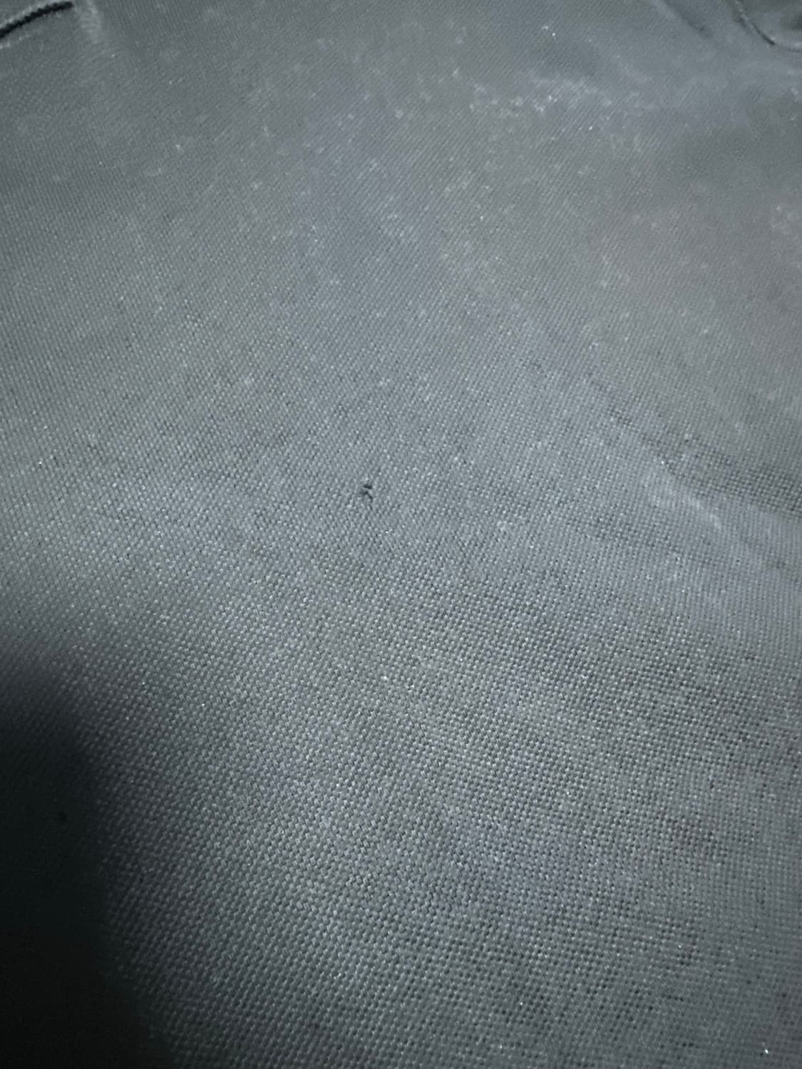 버버리 블랙 코튼 pk 카라티  상품이미지7