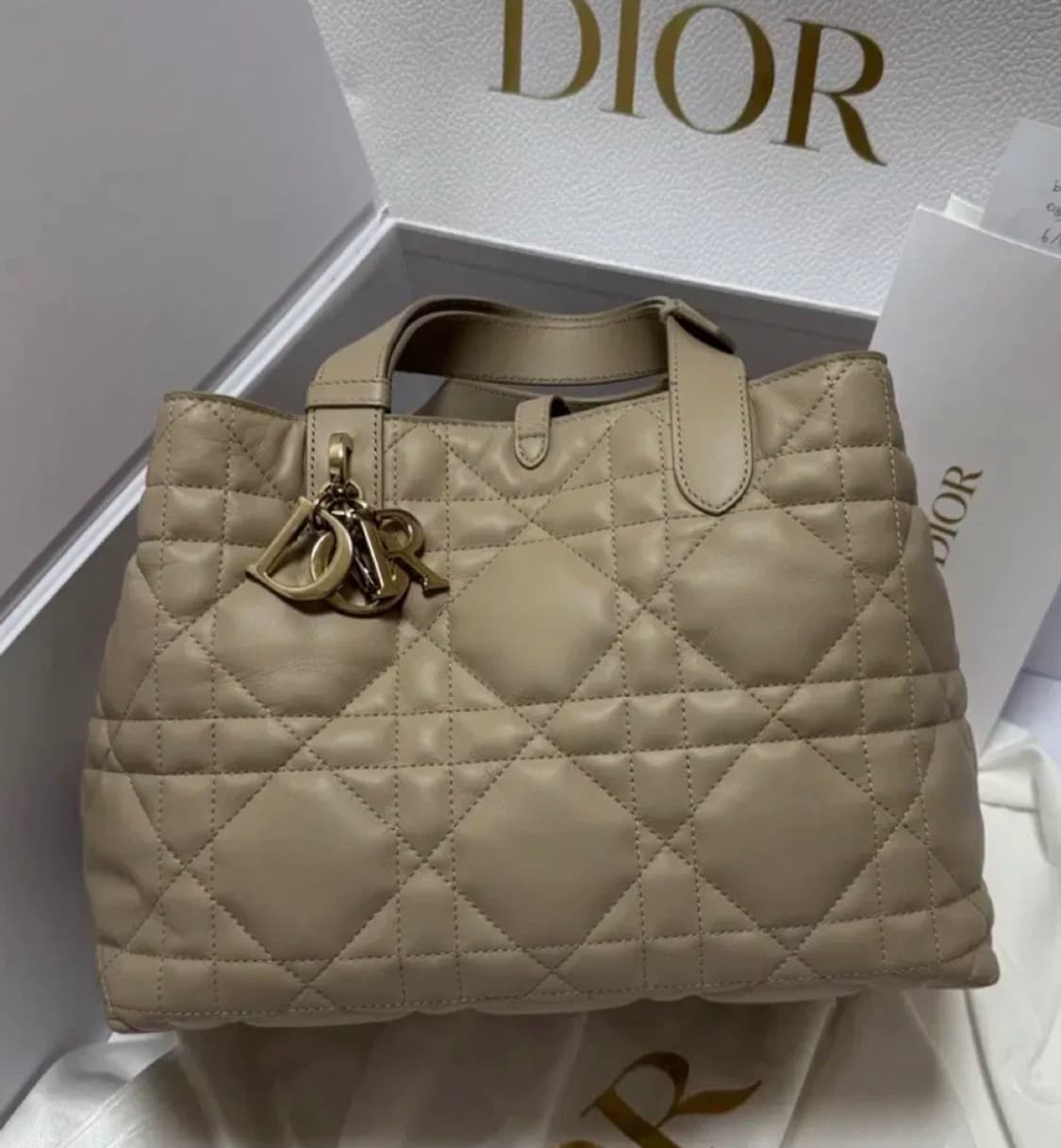 디올 뚜주흐백 미듐 베이지 상품이미지1