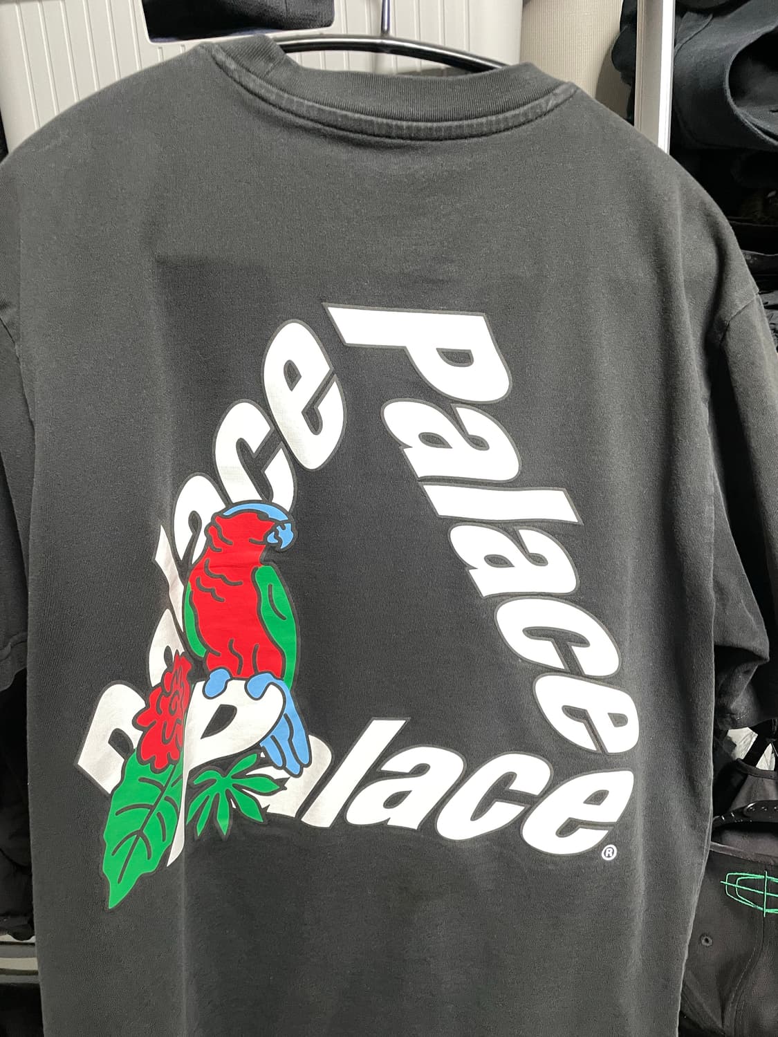 팔라스 앵무새 반팔티 상품이미지2