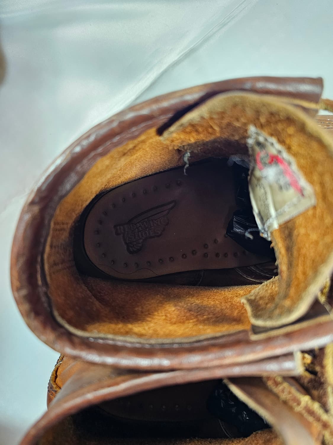 레드윙1907 상품이미지7