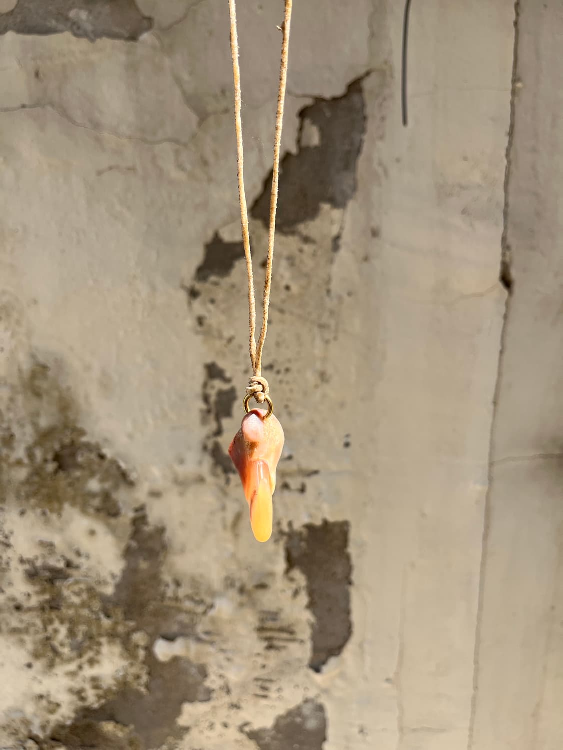 Tiger Claw Necklace 상품이미지5