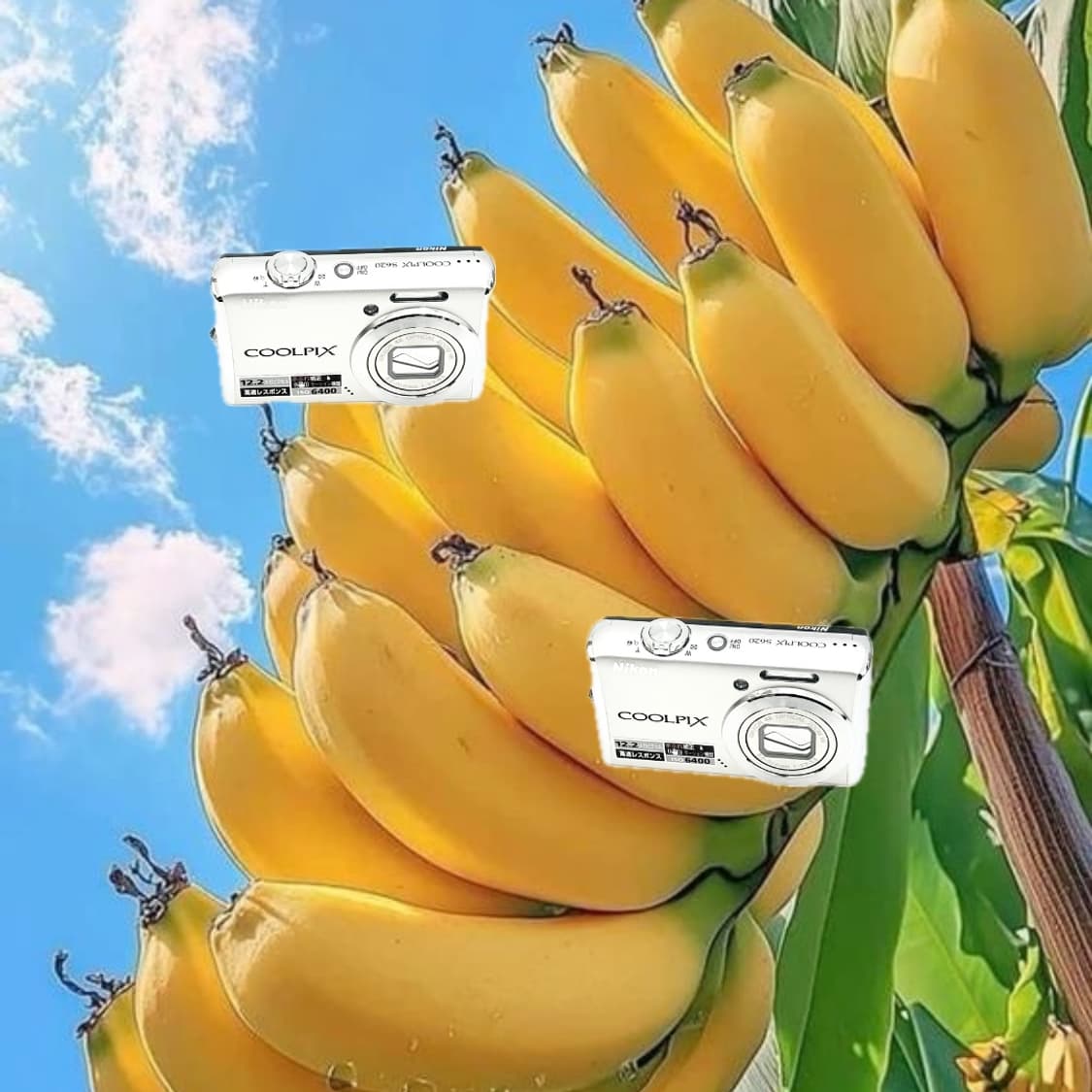 필름색감&초희귀!) Nikon Coolpix S620 디카 카메라 상품이미지1