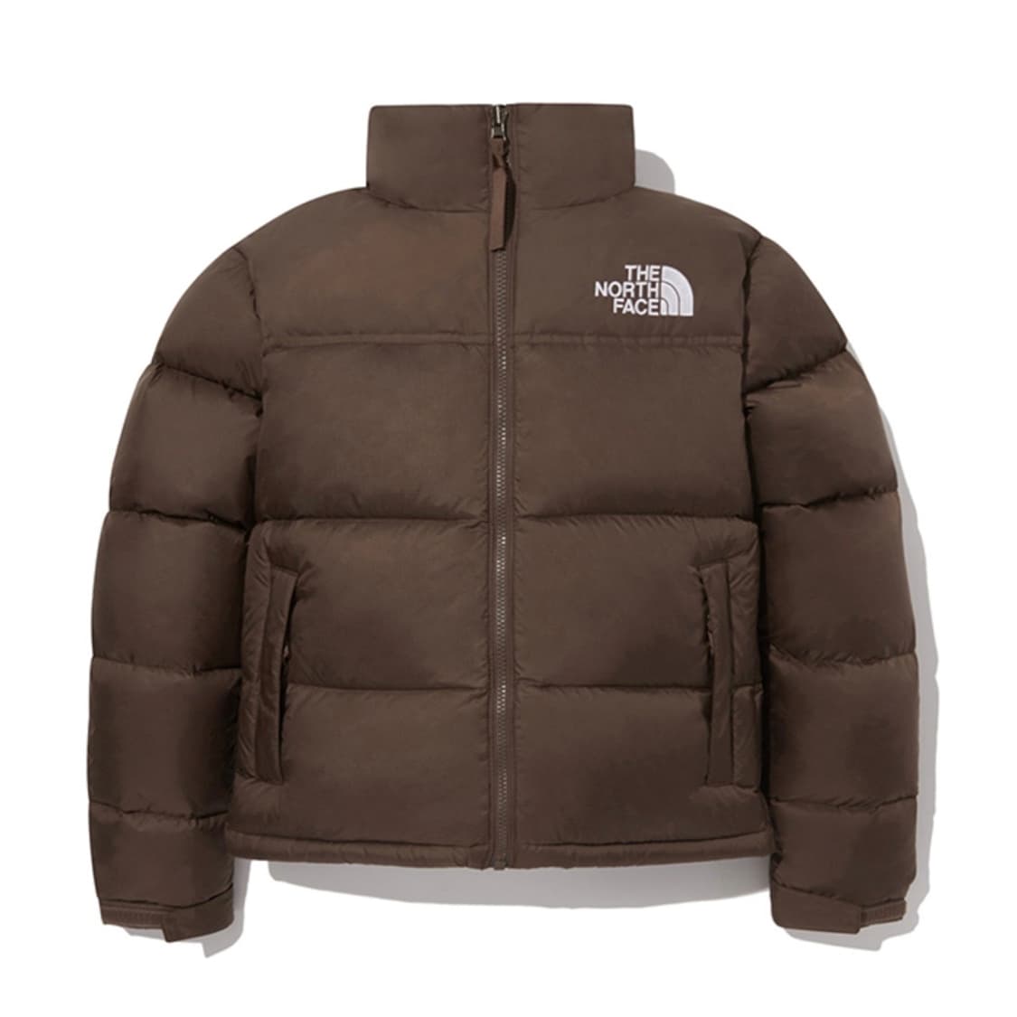 노스페이스 패딩 1996 레트로 눕시 자켓 NJ1DQ80ALBBR 상품이미지1