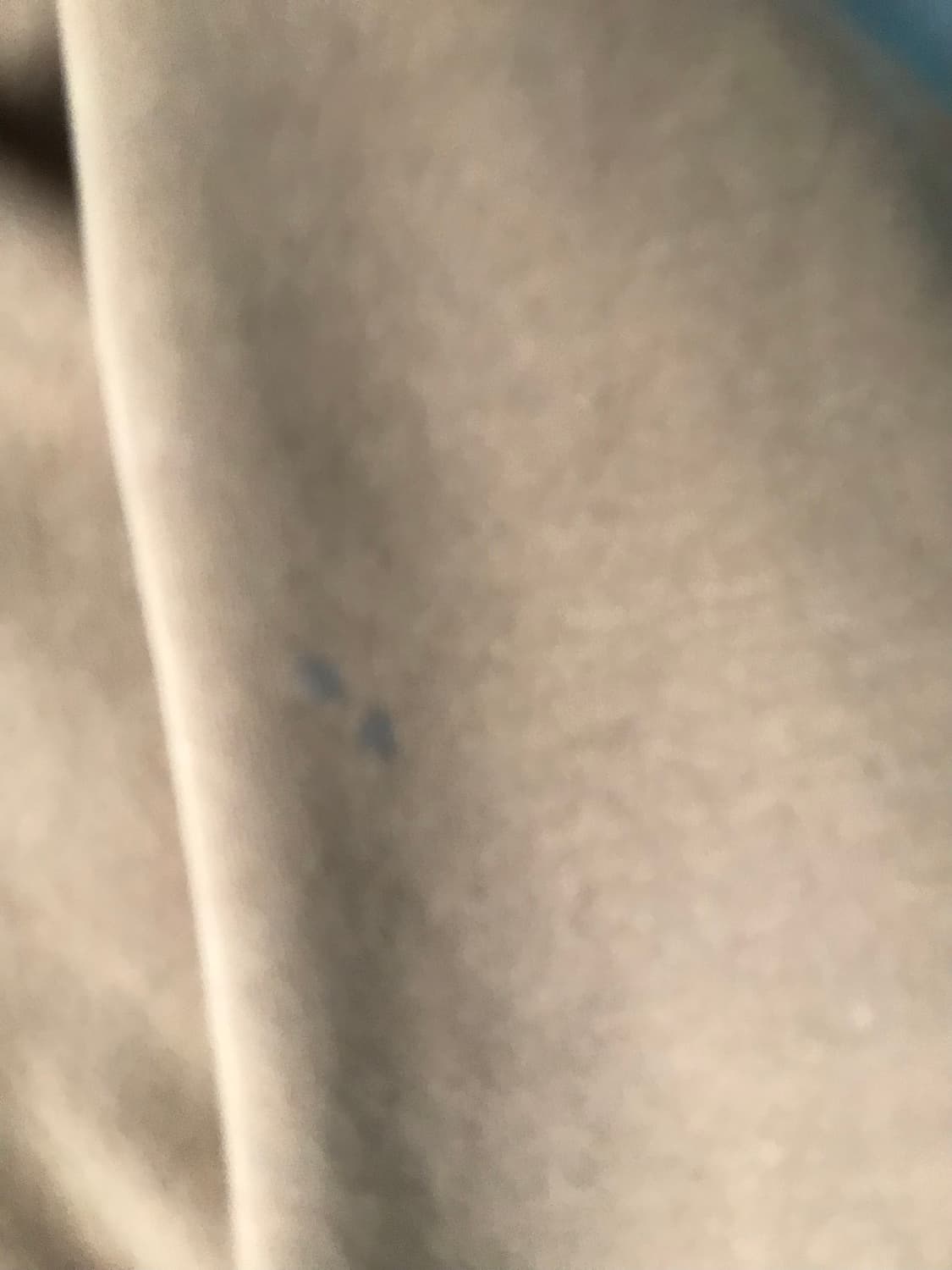 칼하트 된장 후드집업 상품이미지6