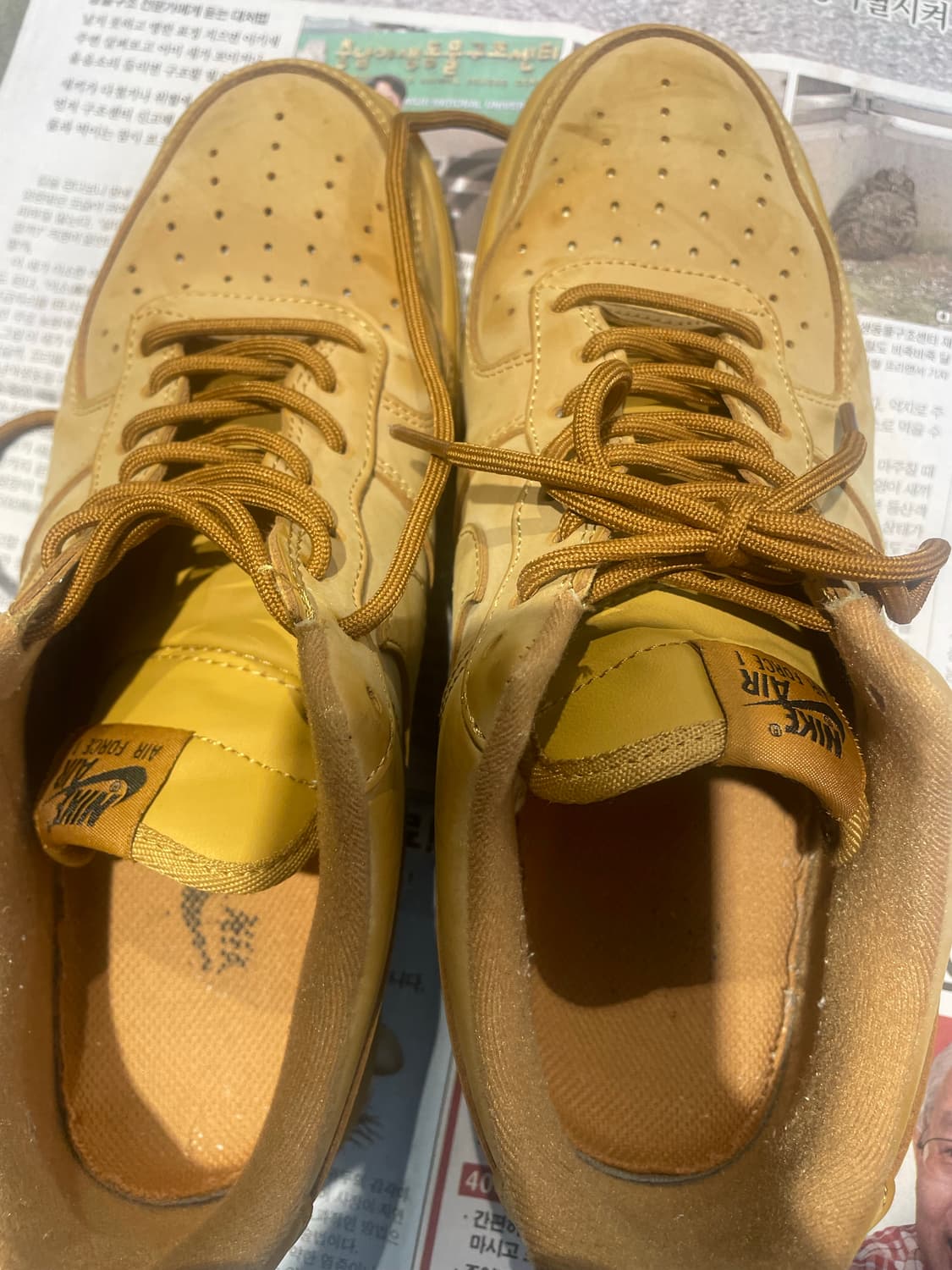 된장포스270 AA4061-200 상품이미지2