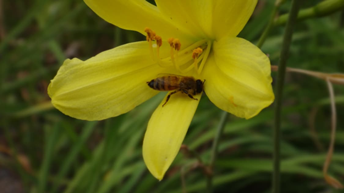 소니 사이버샷 dsc tx66 디카 (빈티지 카메라) 상품이미지7