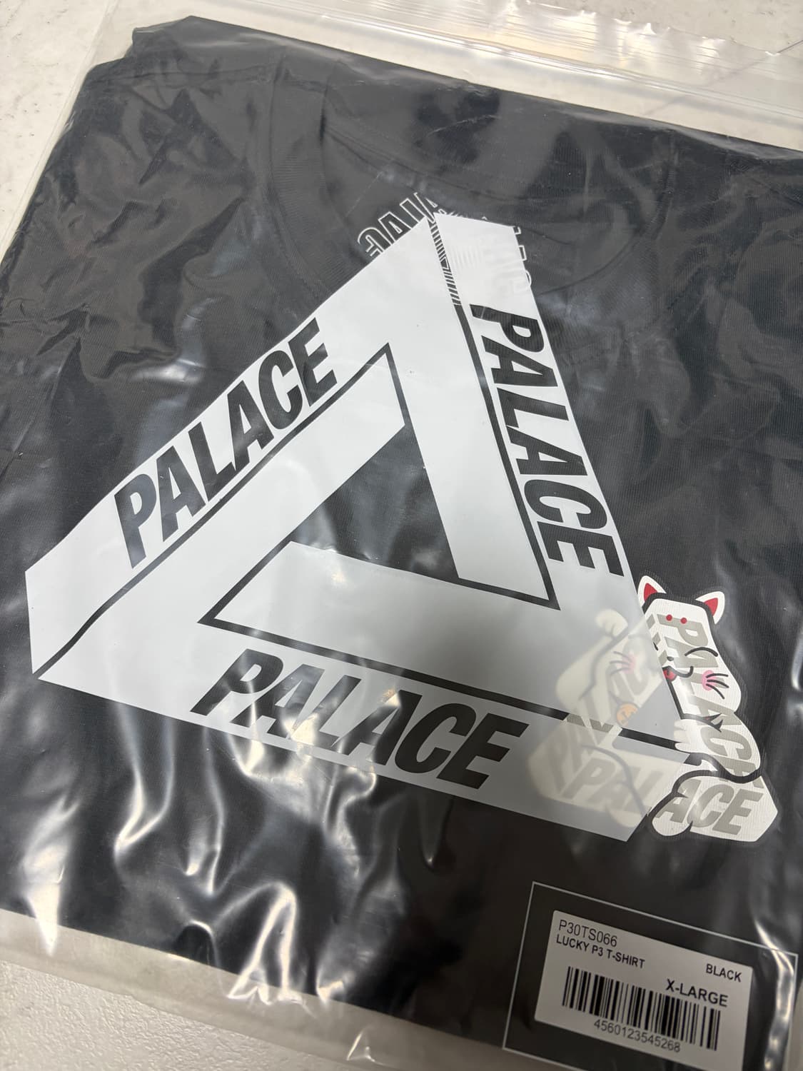 팔라스 럭키 P3 티셔츠 블랙 - 26SS 상품이미지3