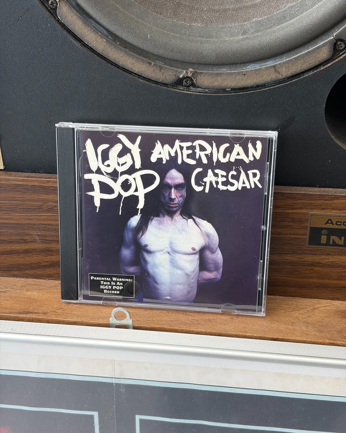 Iggy Pop 상품이미지1