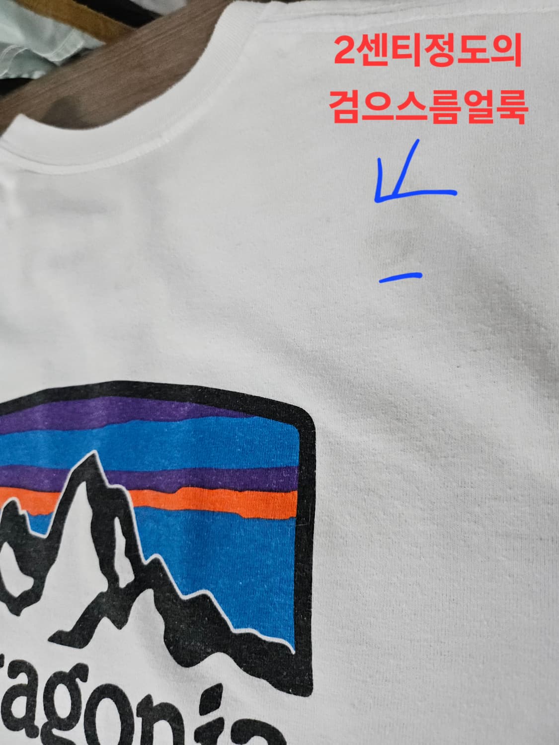 파타고니아 반팔 티셔츠 화이트 L 상품이미지8
