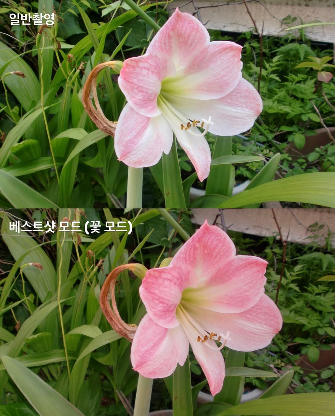 메이크업모드, 작례있음 / Casio Exilim ex-z270 상품이미지3
