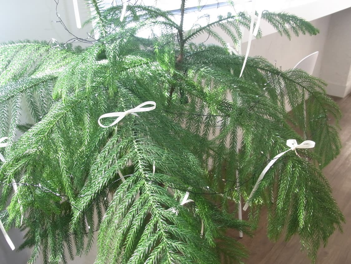 Ricoh cx2 디카 판매 빈티지 디카 상품이미지6