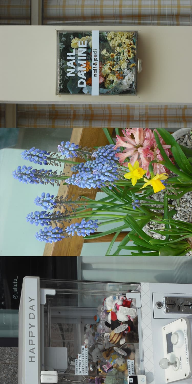 작례⭕️ 후지필름 파인픽스 J10 / CCD 실버 감성 / 필름톤 상품이미지3