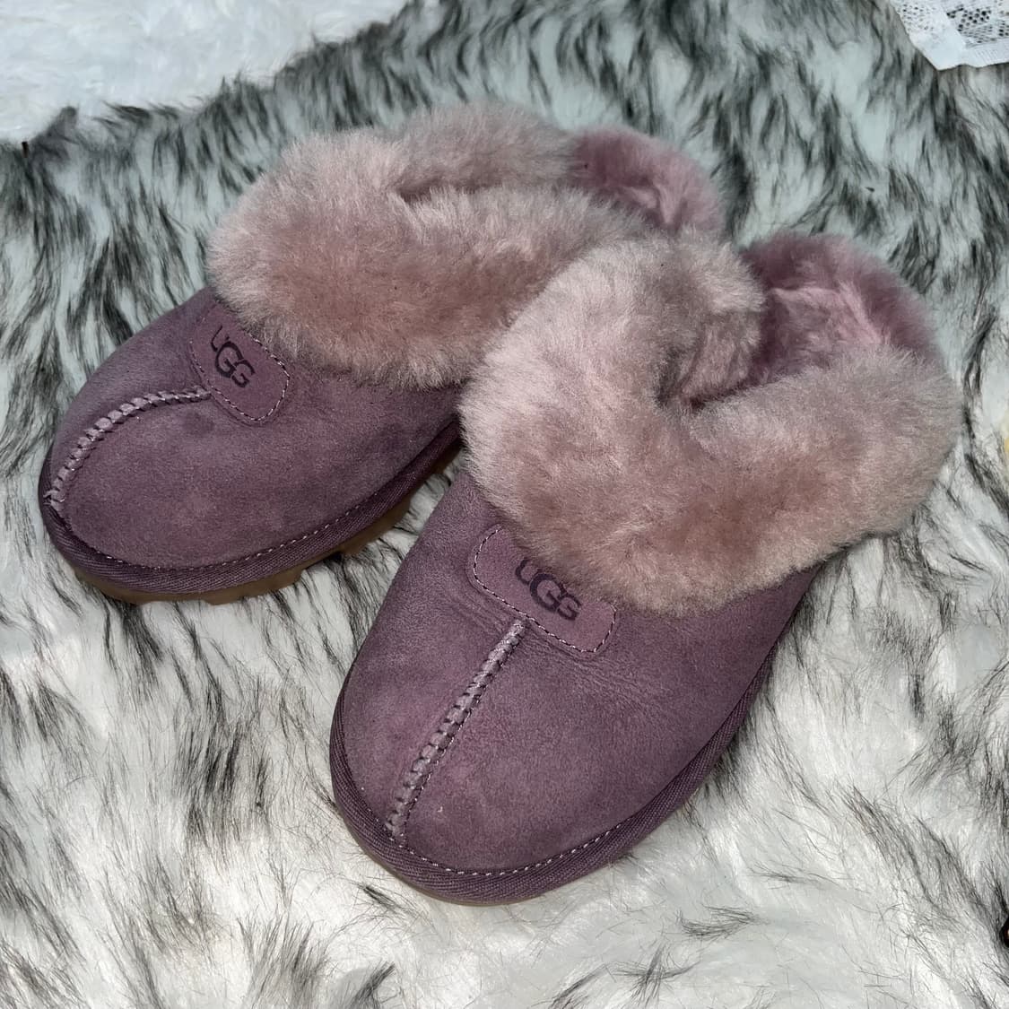어그 퍼플 퍼클로그 상품이미지2