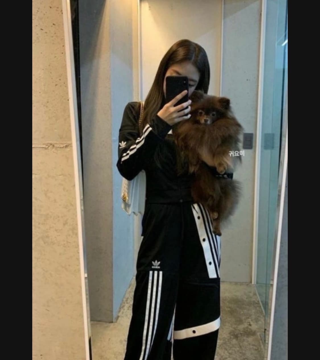 [xs] 제니 아디다스 다니엘카타리 트랙 져지 상품이미지3