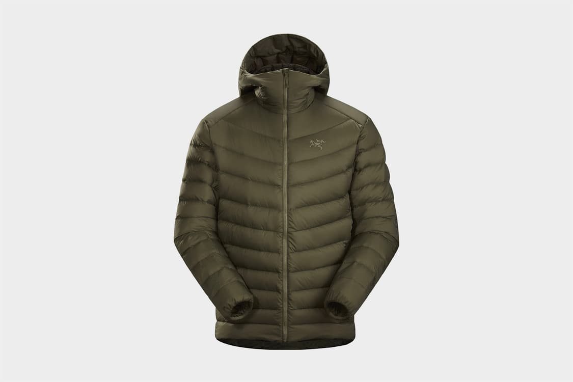 L 아크테릭스 아그리움 후디  타츠 상품이미지7