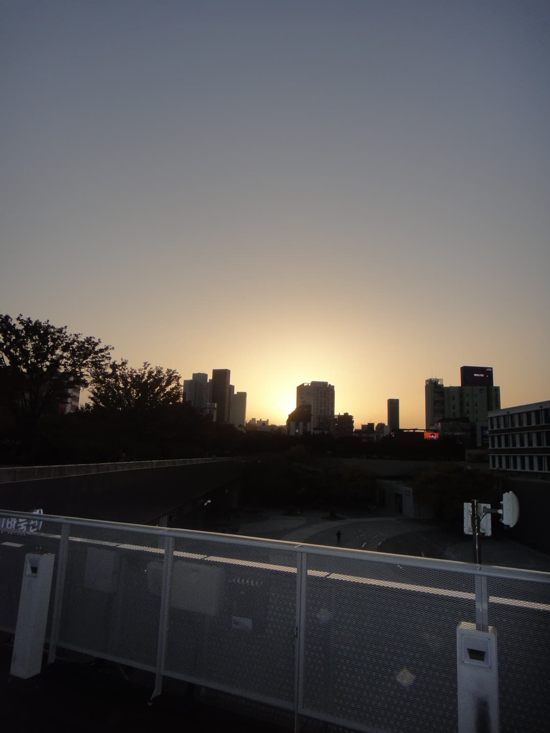 소니 사이버샷 dsc-tx9 르세라핌 허윤진 디카, 디지털 카메라 상품이미지4