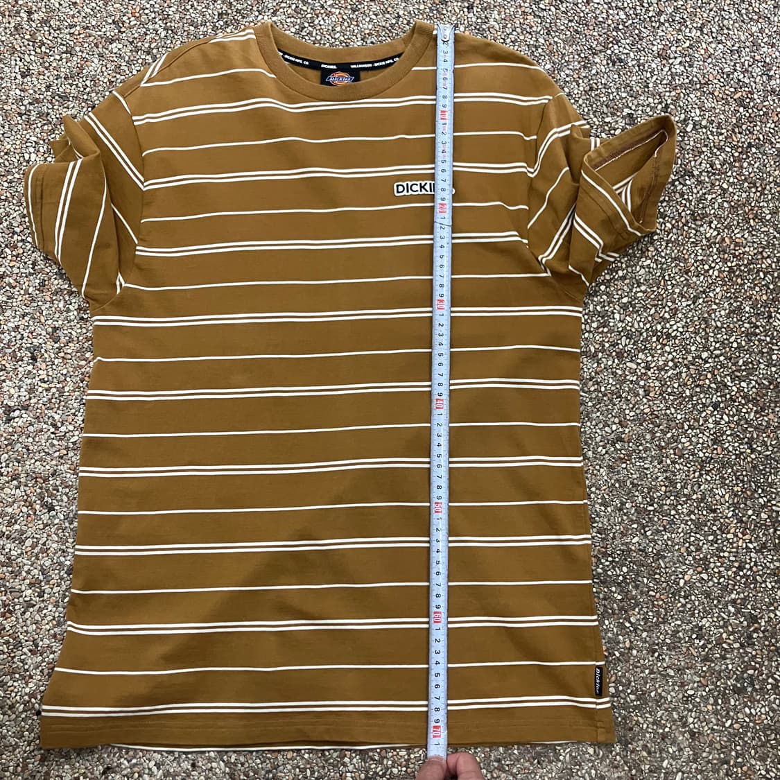 76 디키즈 스트라이프 반팔 상품이미지5