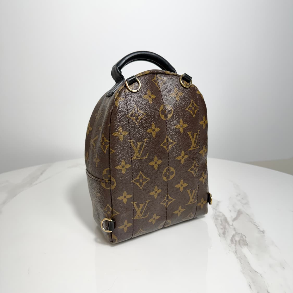 루이비통 팜스프링스 미니 상품이미지4