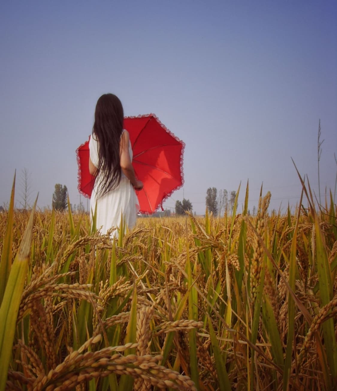 작례O 장동건 디카 삼성 블루 i8 디지털카메라 초소형 감성 카메라 상품이미지4