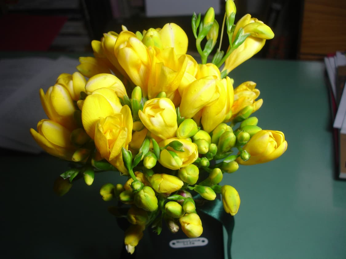 소니 사이버샷 dsc p200 디카 (빈티지 카메라) 상품이미지7