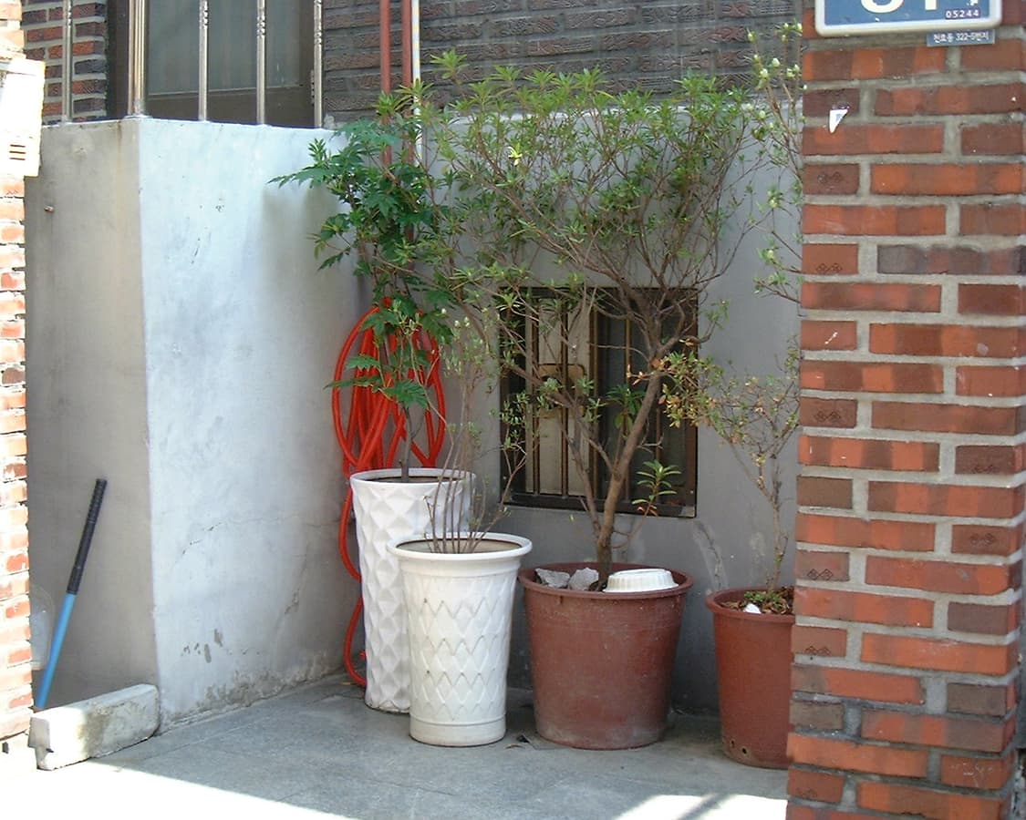 Fujifilm finepiz 1700z 바로 사용킷 (작례 포함) 상품이미지9