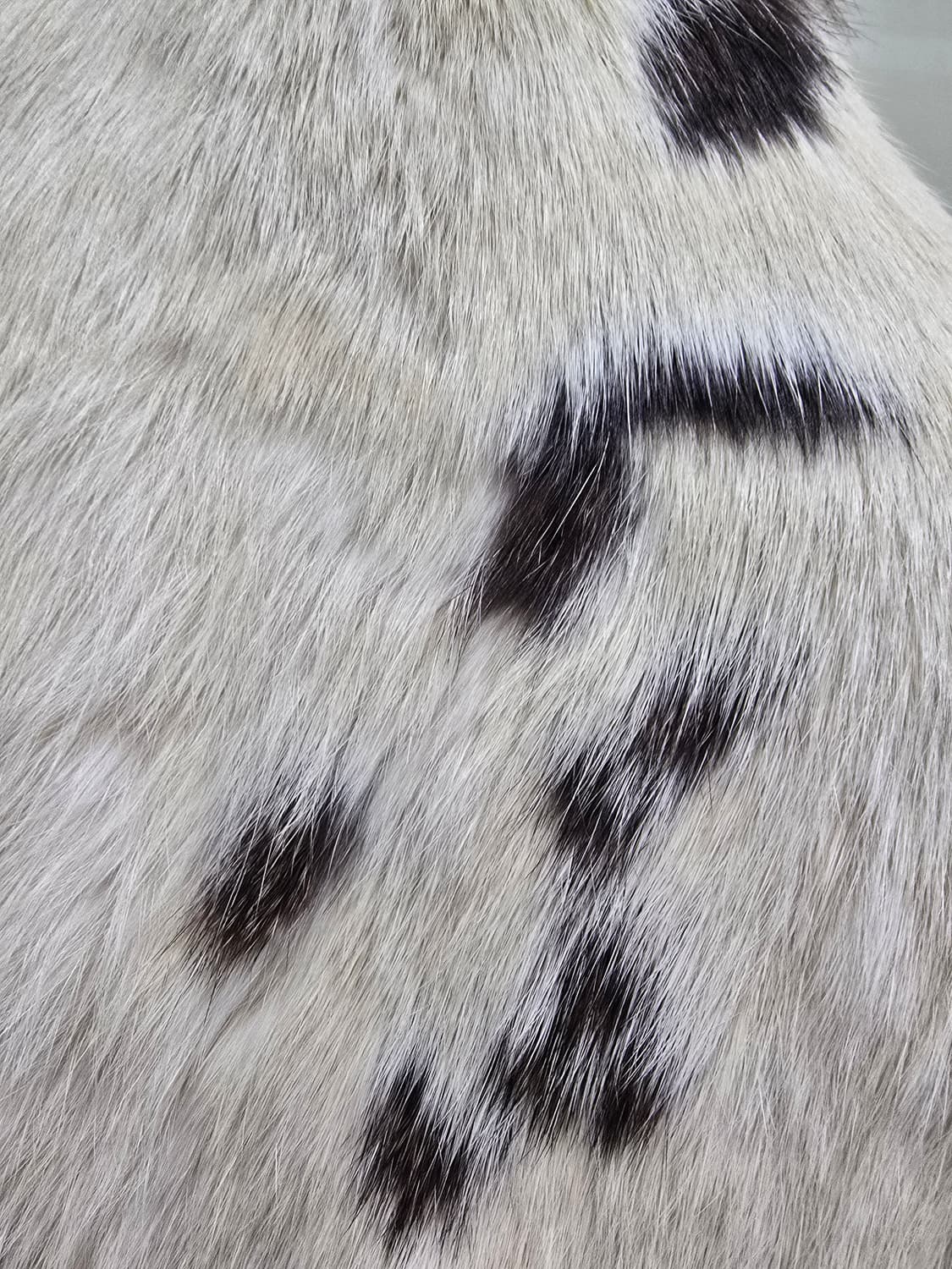 모리스 커밍 홈 토끼털 퍼 자켓 85 상품이미지6