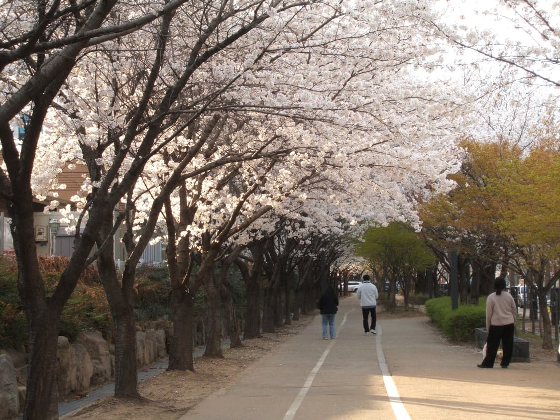 후지필름 파인픽스 F450 상품이미지9