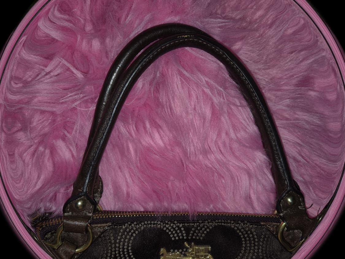 COACH 2000s Brown monogram mini Buckle 상품이미지4