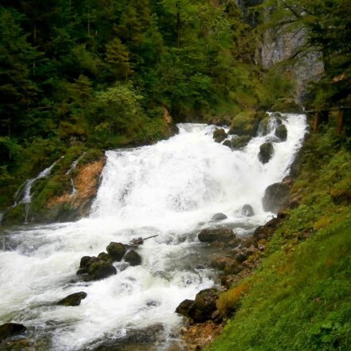 📸 🍒✨ 한국어지원 ✨🍒 올림푸스 VG-170 레드 상품이미지8