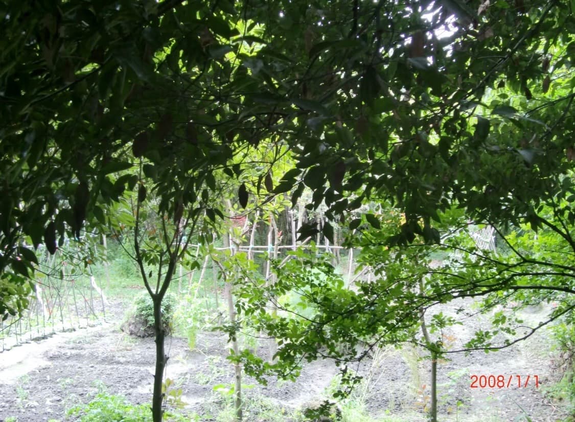 작례O 카시오 엑슬림 z300 핑크 casio exilim ex-z300 상품이미지10