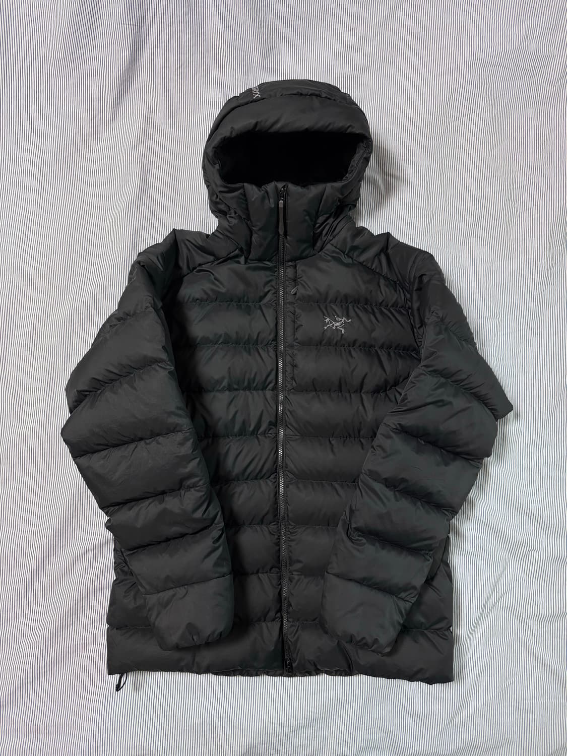 아크테릭스 토륨 후디 블랙 상품이미지2