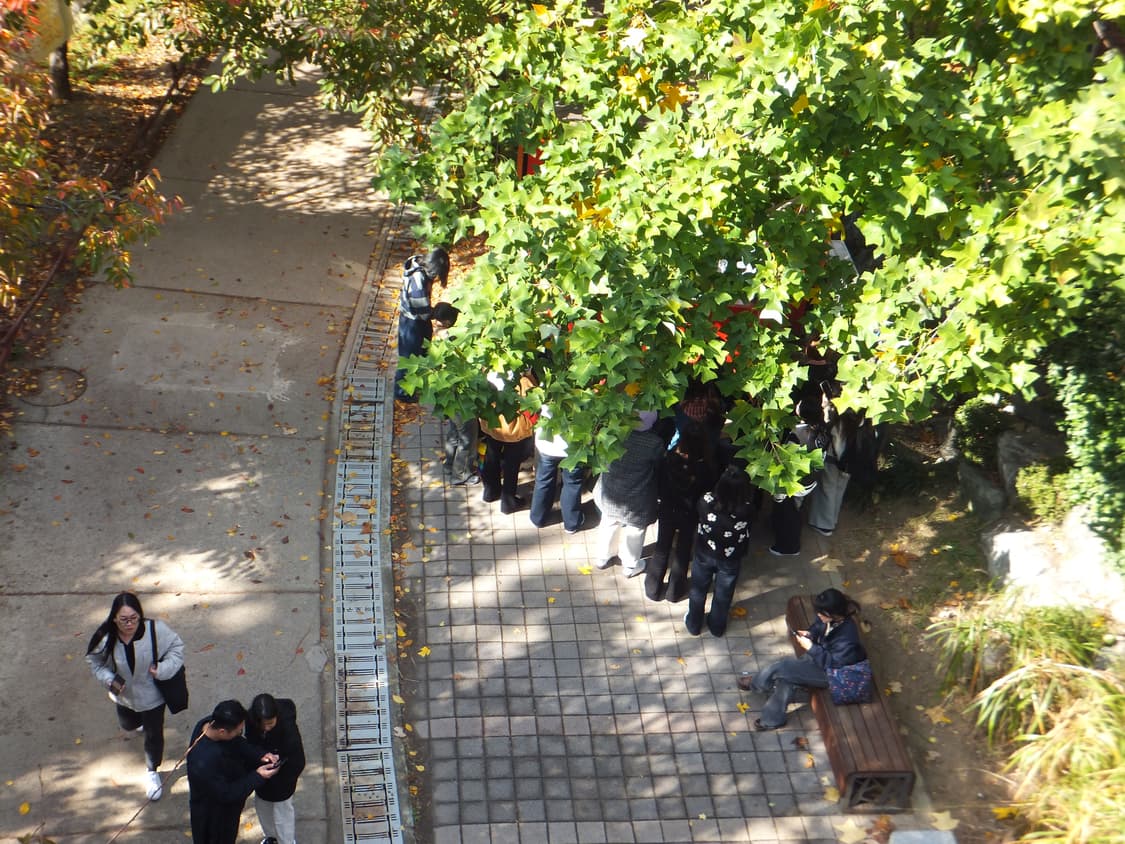 (작례O)후지필름 fujifilm 파인픽스 f550exr 상품이미지7