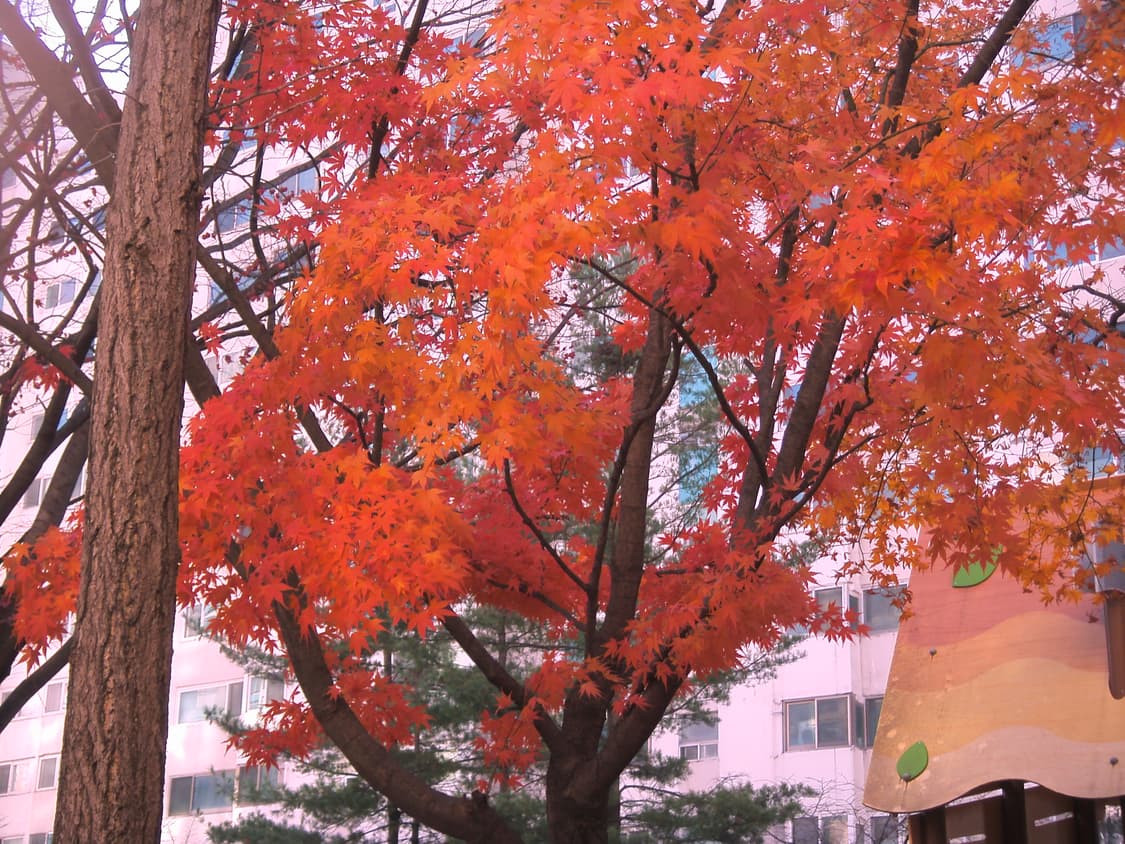 삼성 i70 상품이미지10