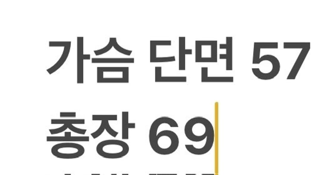 [정품/L] 지포어 올오버 패턴 맨투맨 티셔츠 b10 상품이미지7