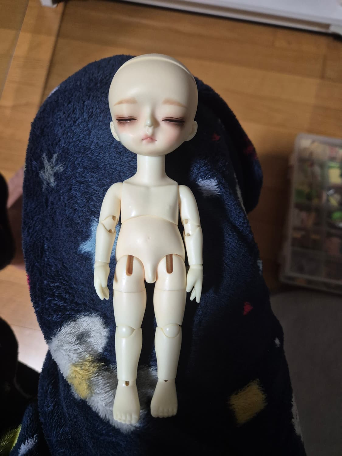 위드돌 포켓 BWD 사이즈 구체관절 구관 인형 상품이미지7