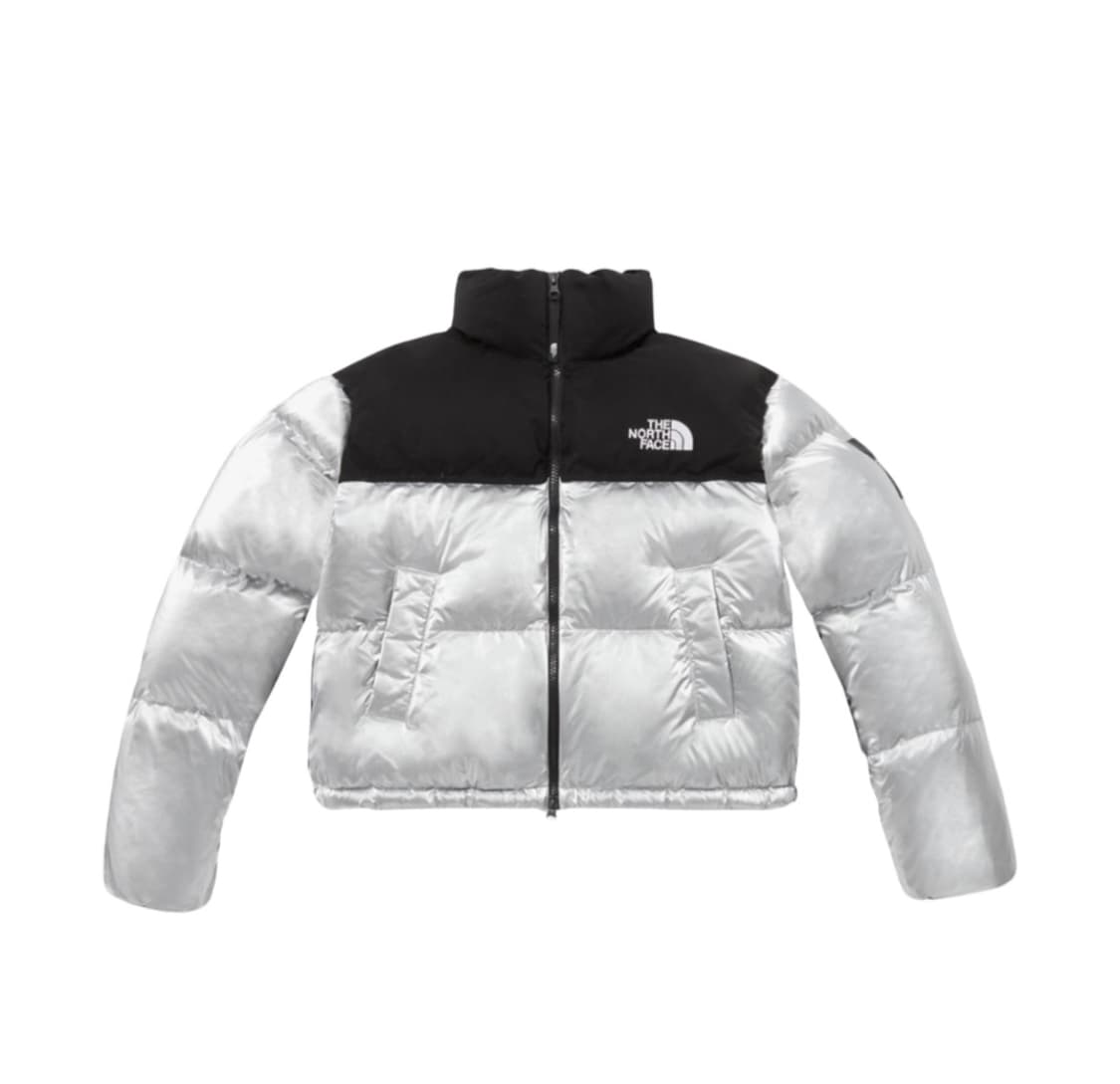 노스페이스 눕시 실버 상품이미지1