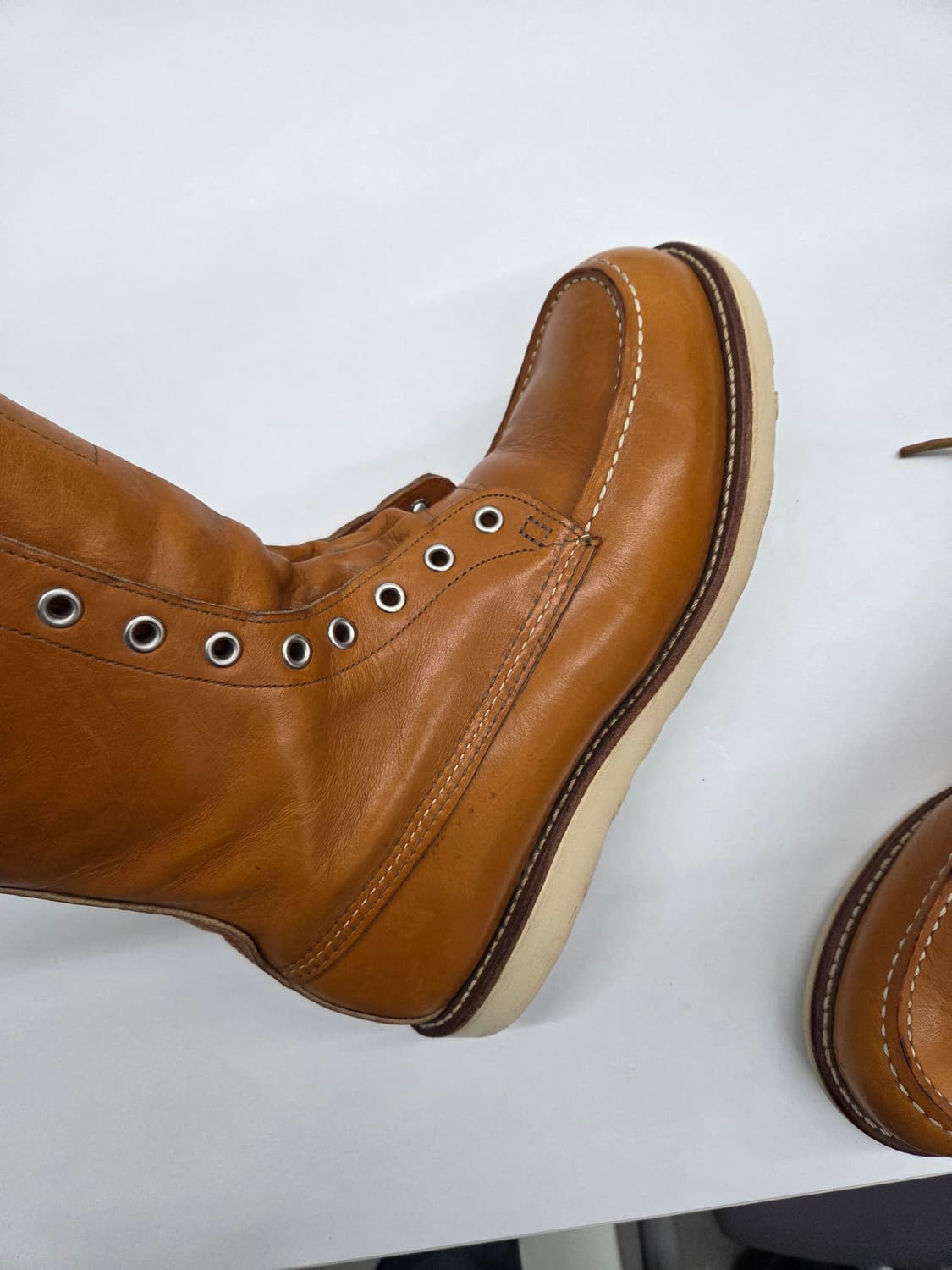 레드윙 9877 아이리쉬세터 9.5 d  상품이미지4