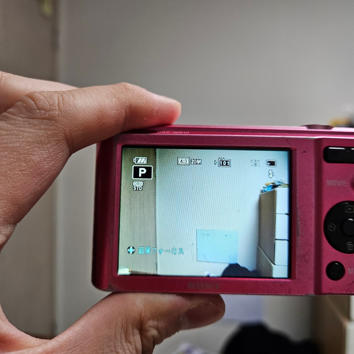 (아이브 레이 디카) 소니 사이버샷 DSC-W810 상품이미지3