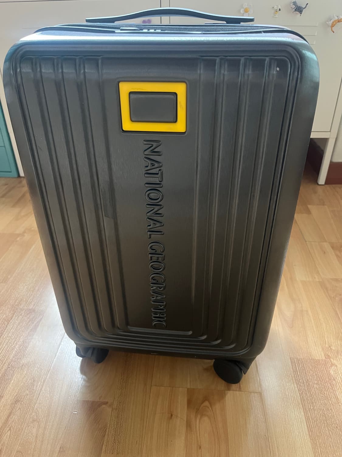 네셔널지오그래픽 기내용 캐리어 상품이미지1